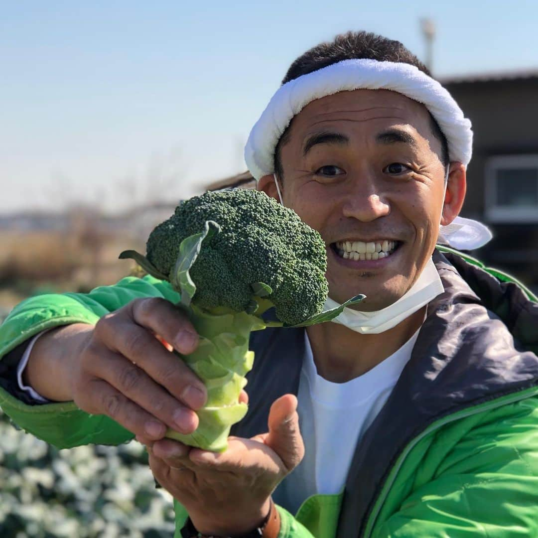 石田靖と松本人志は本当に不仲なのか？