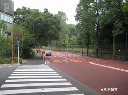 横断歩道上にバイクやヘルメットが倒れていた