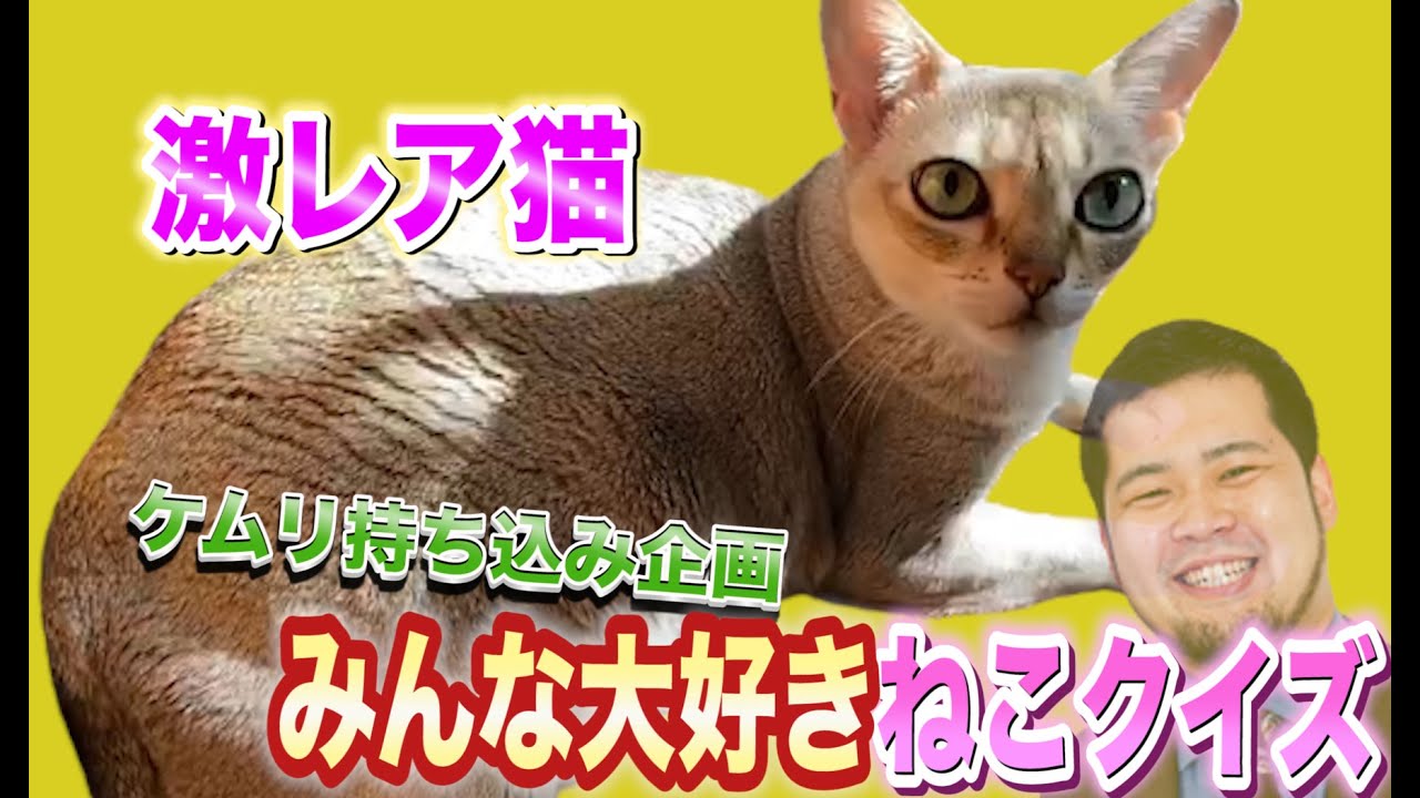 大の猫好きであることも有名