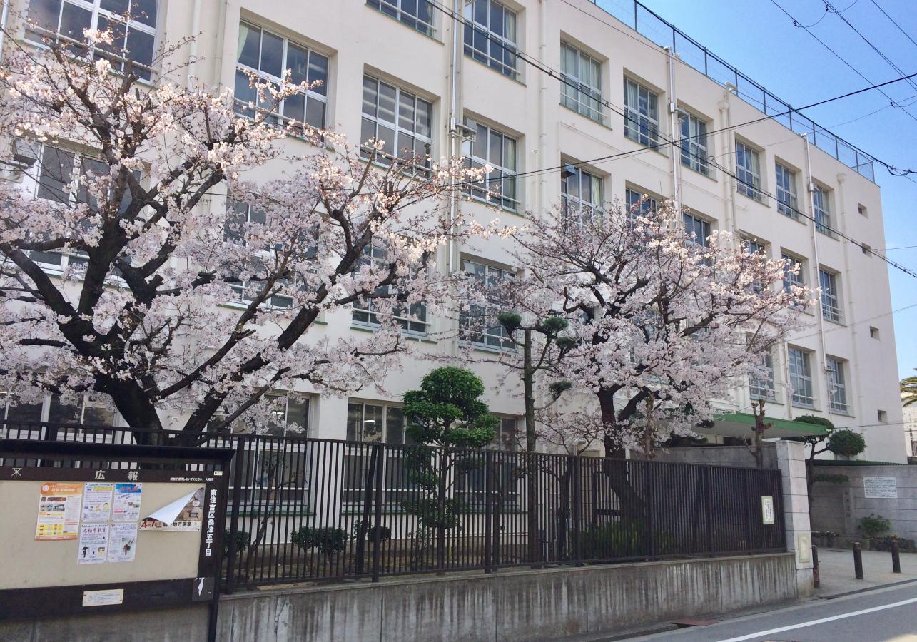 小学校は‟大阪市立桑津小学校”