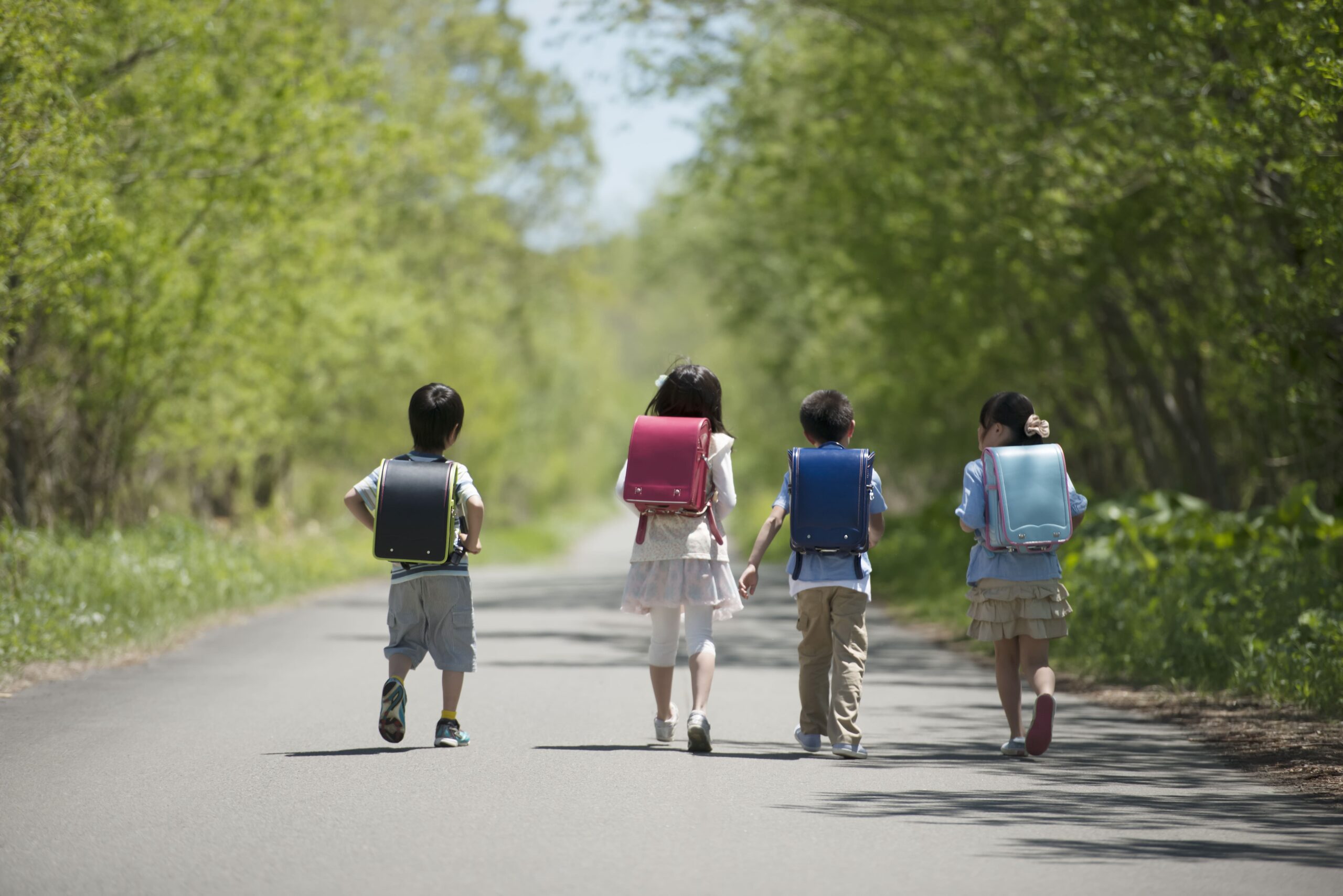 小学校は不明