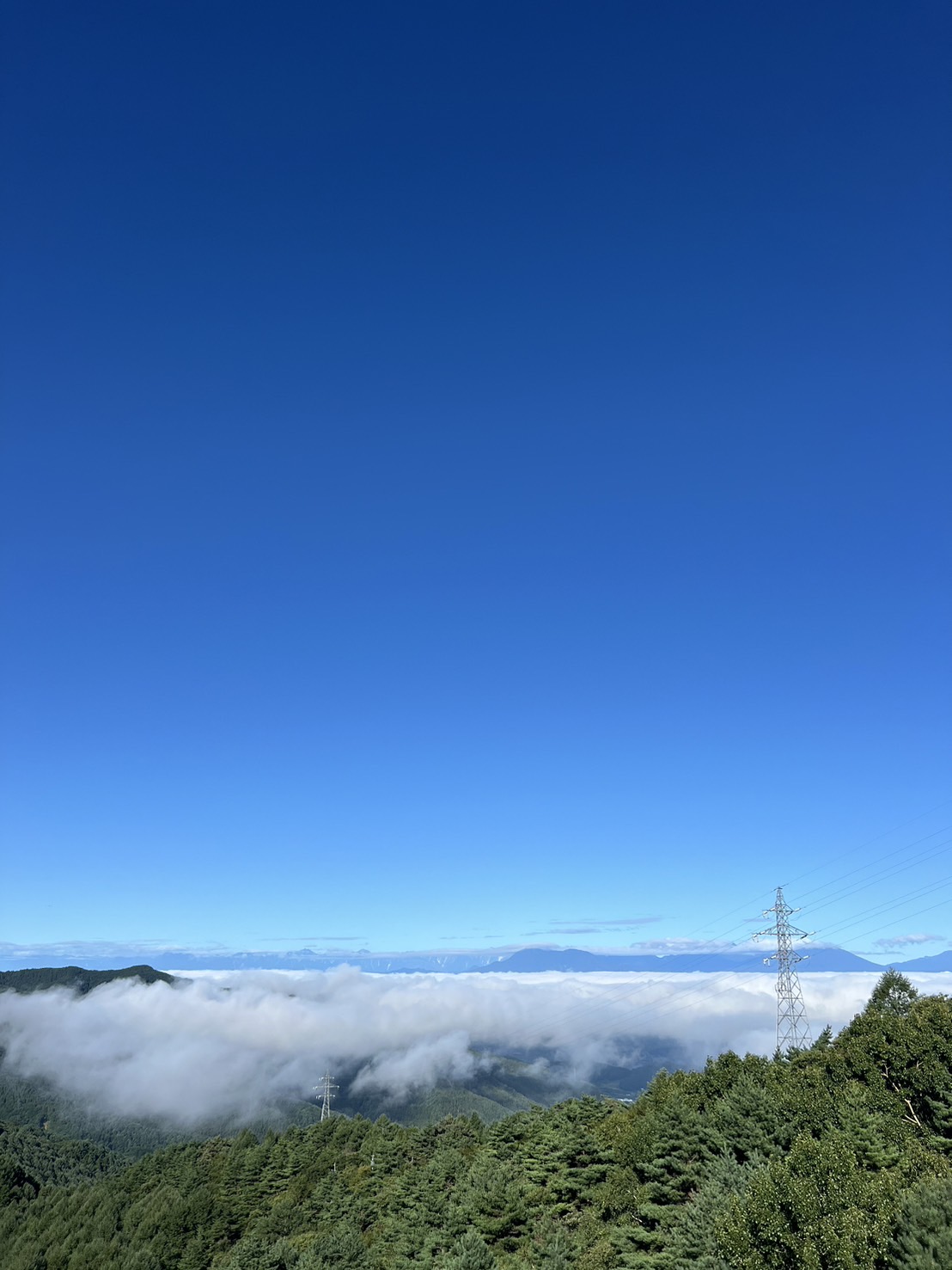 暇空茜の出身大学はどこ？