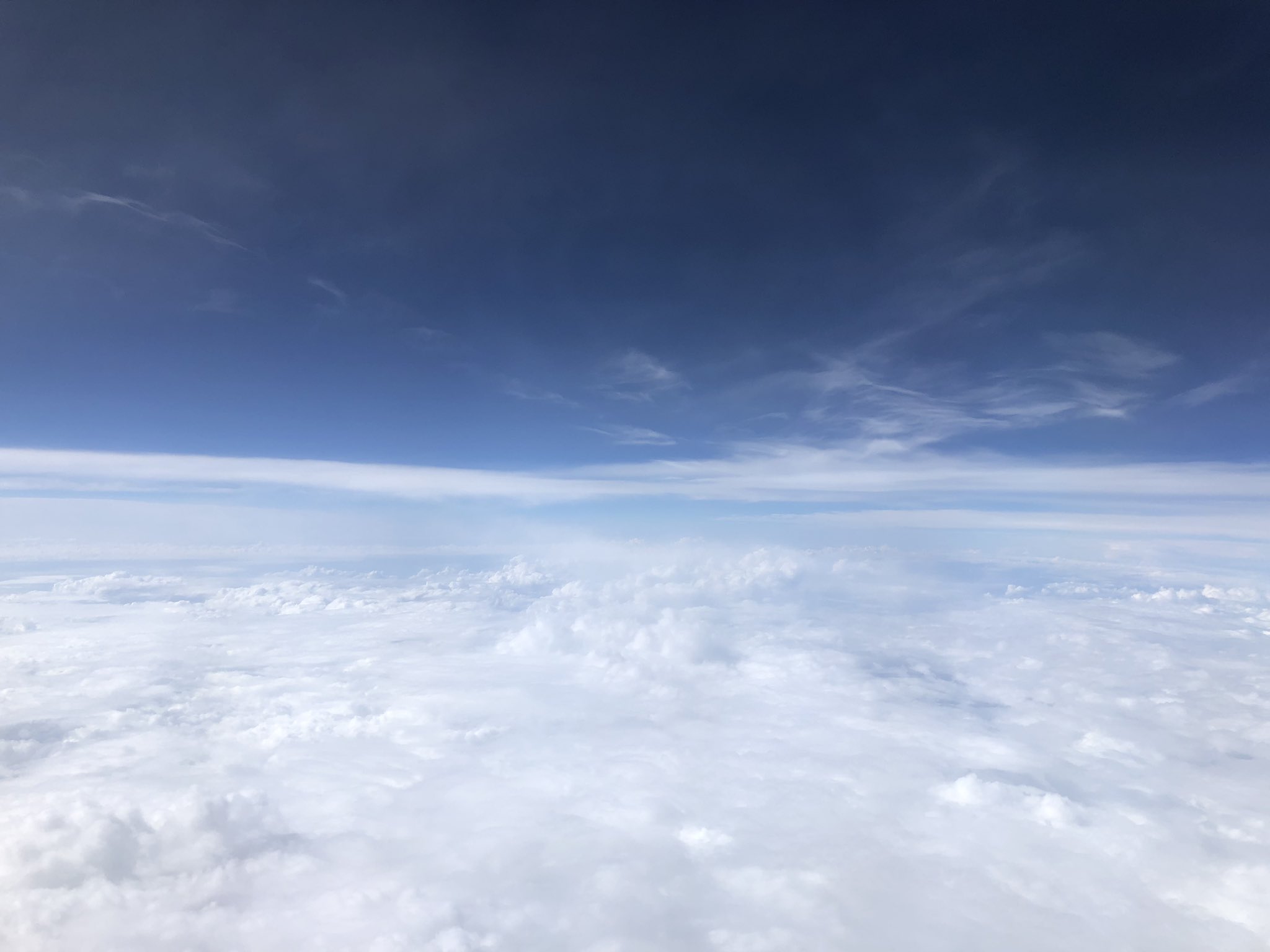 暇空茜の出身中学はどこ？