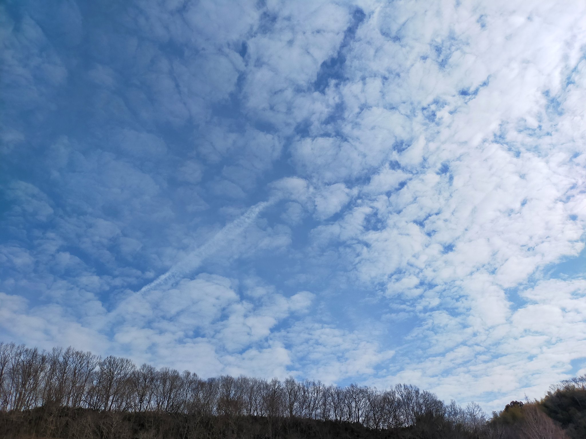 北村功太は能楽を習っていた？